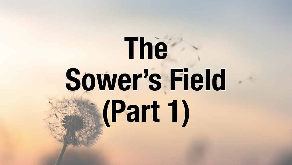 The Sower’s Field – Part One